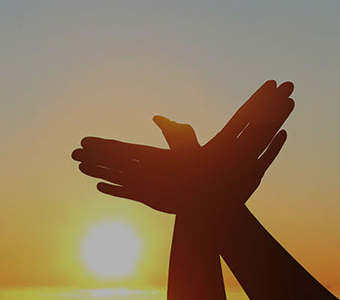 �±���(�й���)���޹�˾ - ����