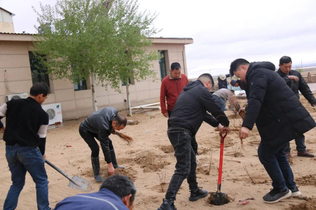 �±���(�й���)���޹�˾ - ����