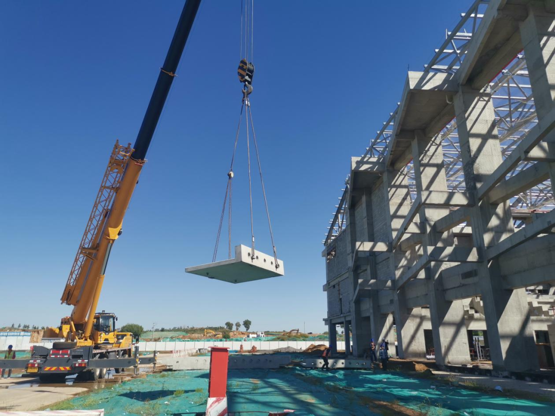 �±���(�й���)���޹�˾ - ����