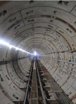 ʮ���˵�������������Ŀ